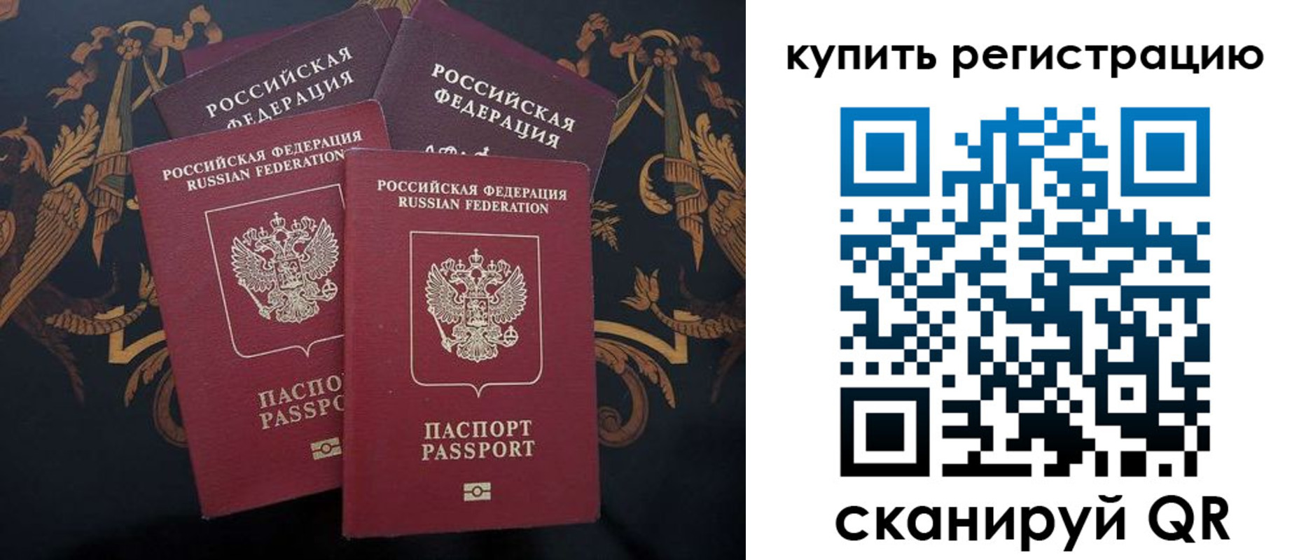 прописка регистрация в Александровске