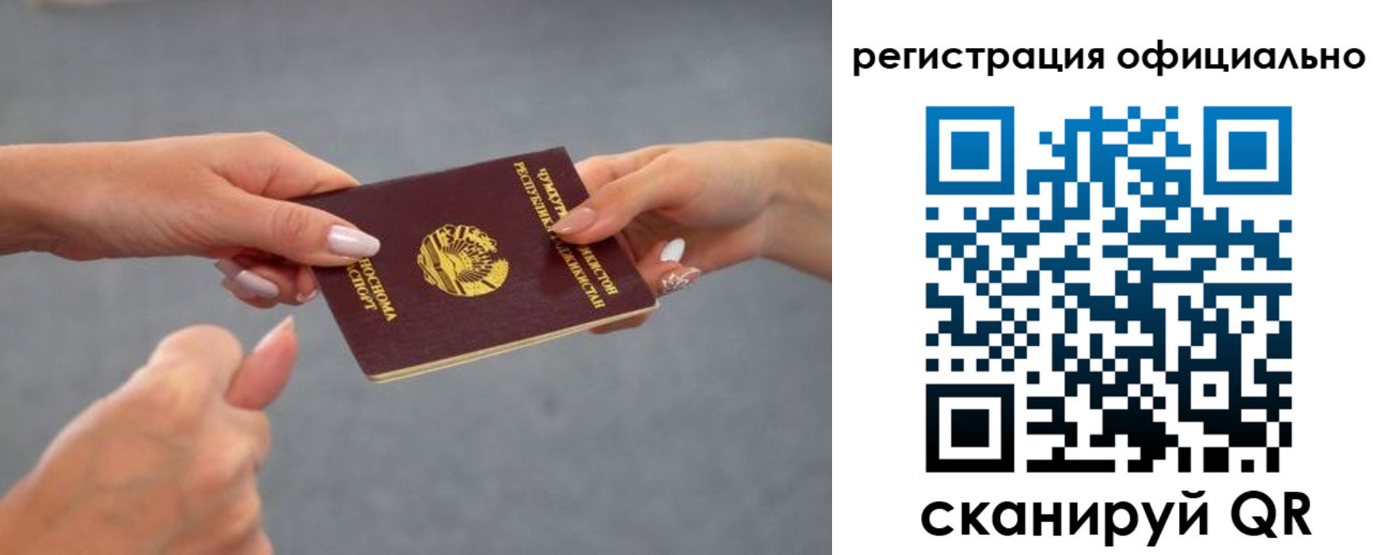 прописка поиск в Александровске